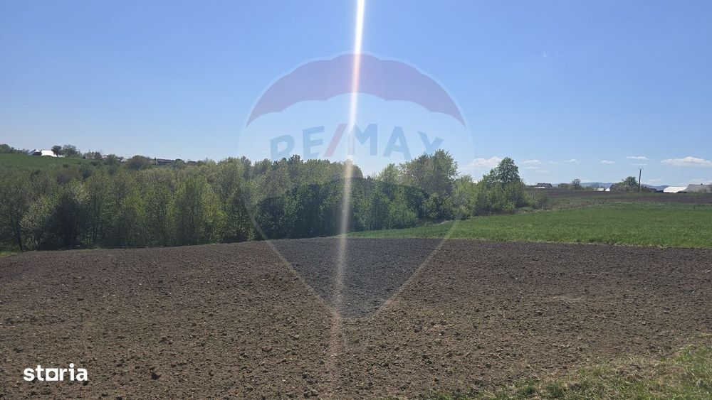 Teren de vanzare in Horodnic de Sus