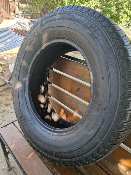 2 Anvelope Auto Semperit Van-Grip2 235/65 R16 C