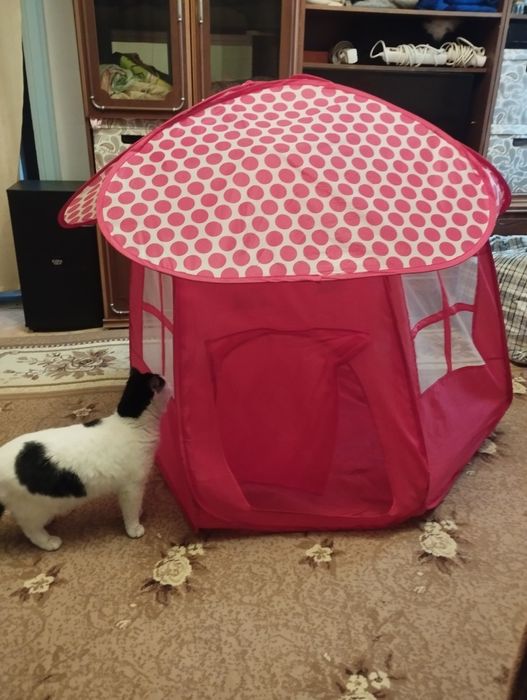 Детский шатёр палатка даром