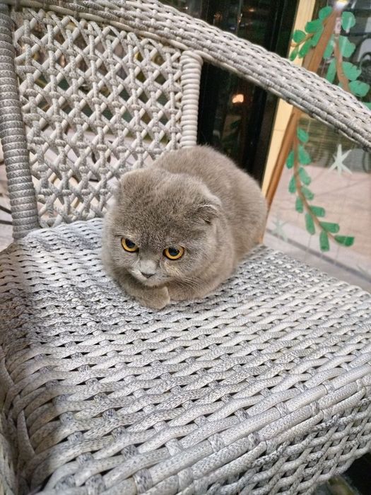 Yetuk ona yashirin porno