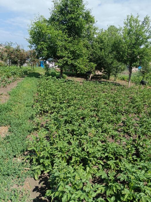 Продам дачу 2-я дачная направо