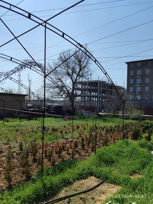 ер сотилади 6 сотох