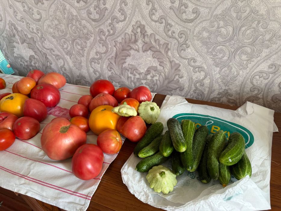 Продам свежие помидоры и огурцы