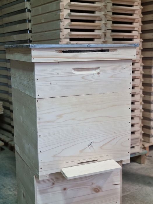 Lazi de albine de vanzare