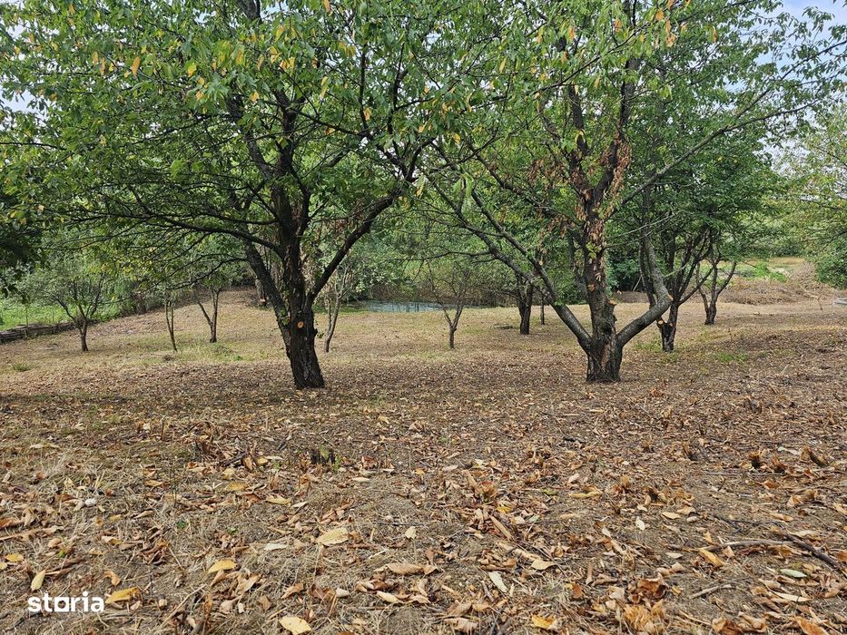 Vila Rustica Si Teren 1220 Mp Iasi Nicolina Al. T Neculai Strugurilor