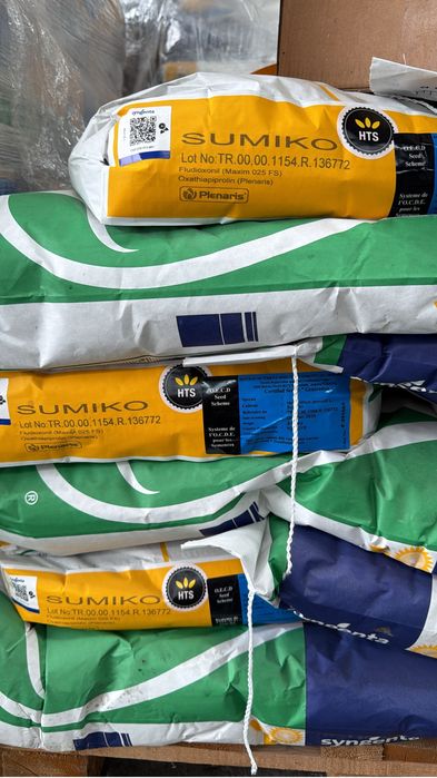 Seminte Porumb si Floare