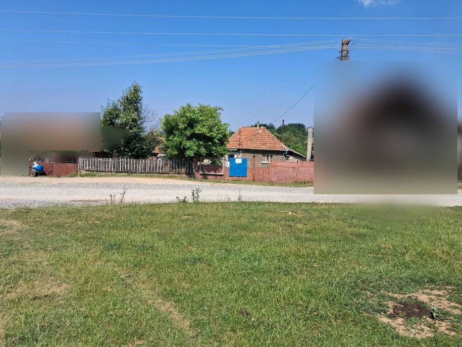 Casă cu teren 8.000 mp și livadă