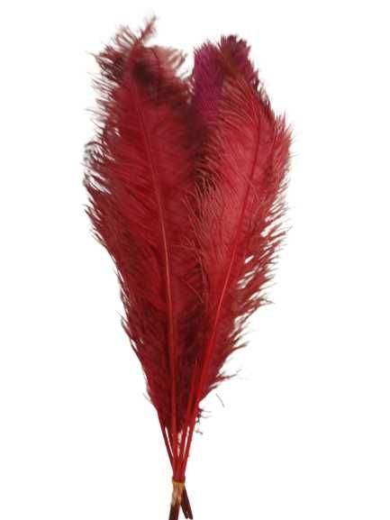 Pene de struti de vanzare