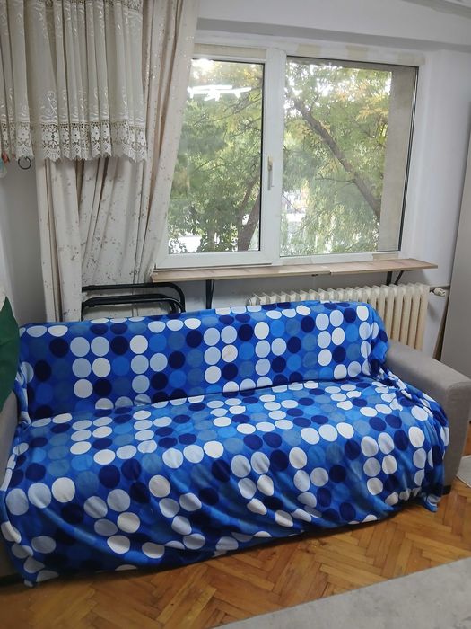 Caut colega garsoniera Bucuresti sector 4 , fata seriasa 650 lei plus utilitati