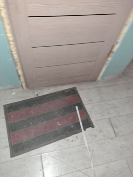 Двери с ручками внутренние 2штук есть