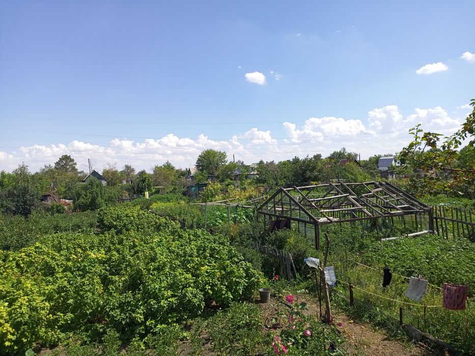 Продам дачу в обществе Черёмушки