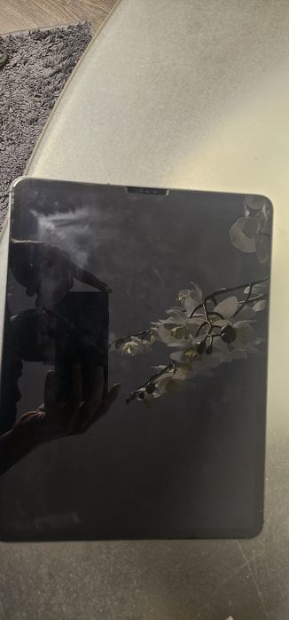 IPad Pro 12.9 4th Gen