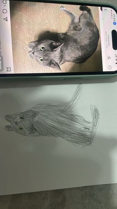 Отдам Британца в хорошие руки