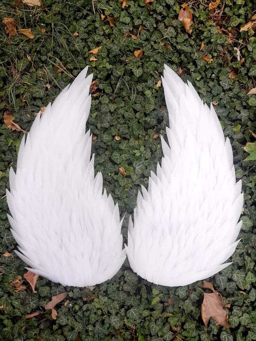 Крила всякакъв размер и модел на достъпни цени!