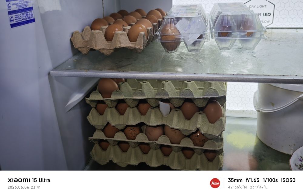 Домашни яйца от Ярки кокошки