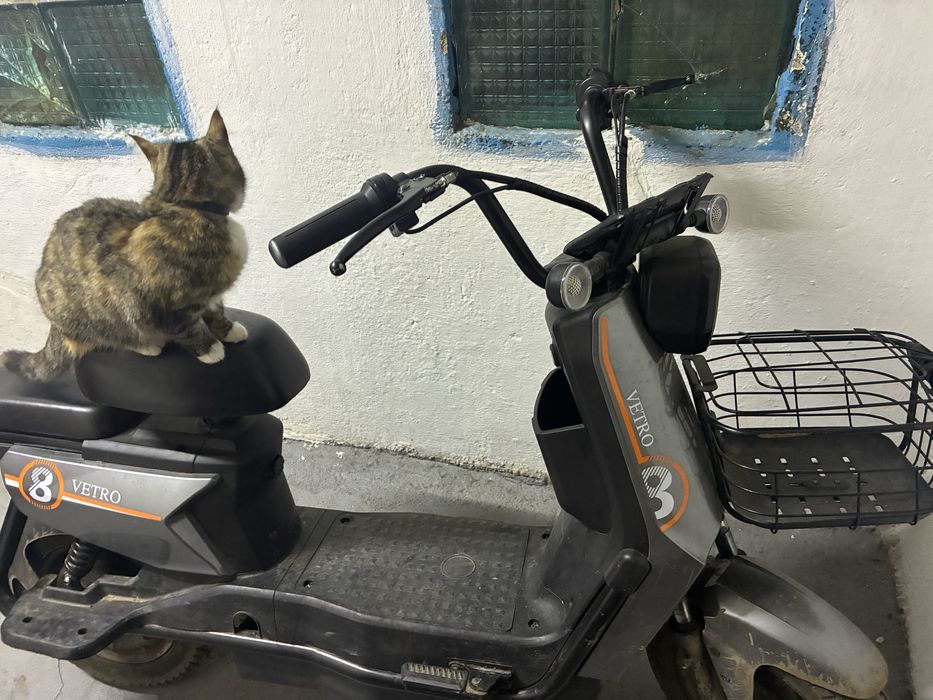 Скутор электро хорошом срстаяни