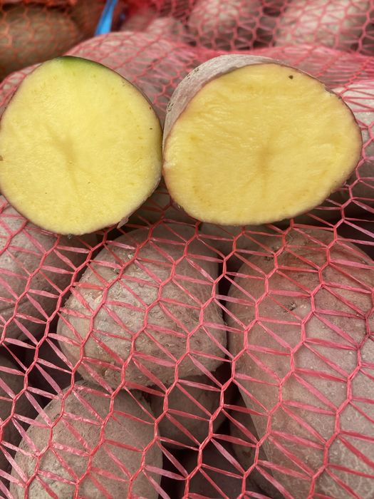 Vand cartofi alb/roz cu miez galben de consum si de saminta