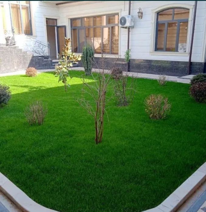 Газон рулон хизмати