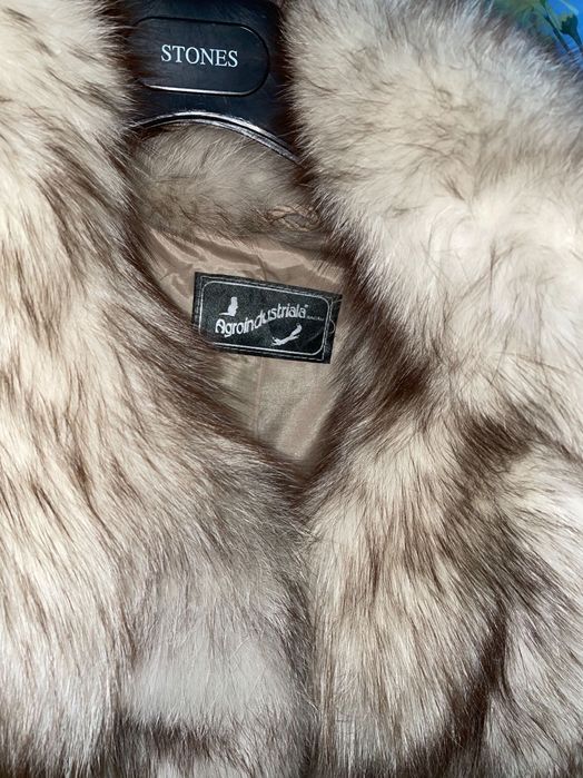 Blana de vulpe argintie