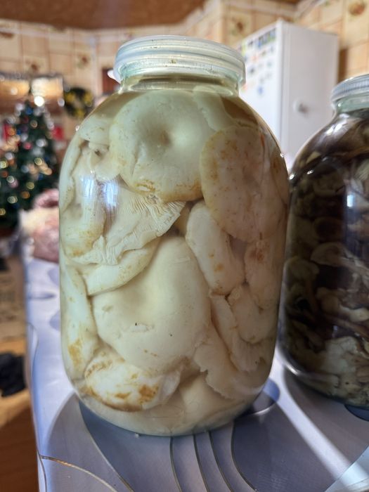 Продам  соленые Грибы !