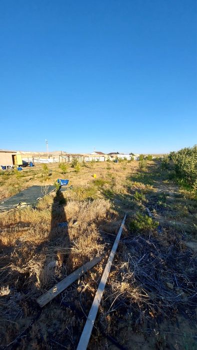 Бакша сенек ауылында 2000м2 0,2гектар