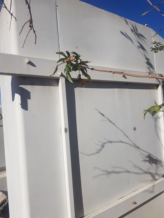 2 броя Ски бокс / Багажни раници за автобус