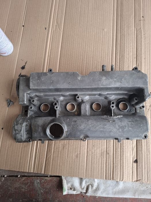 гибрит индюки 1+2