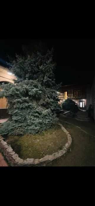 Назарбекда ховли сотилади. NR494/32