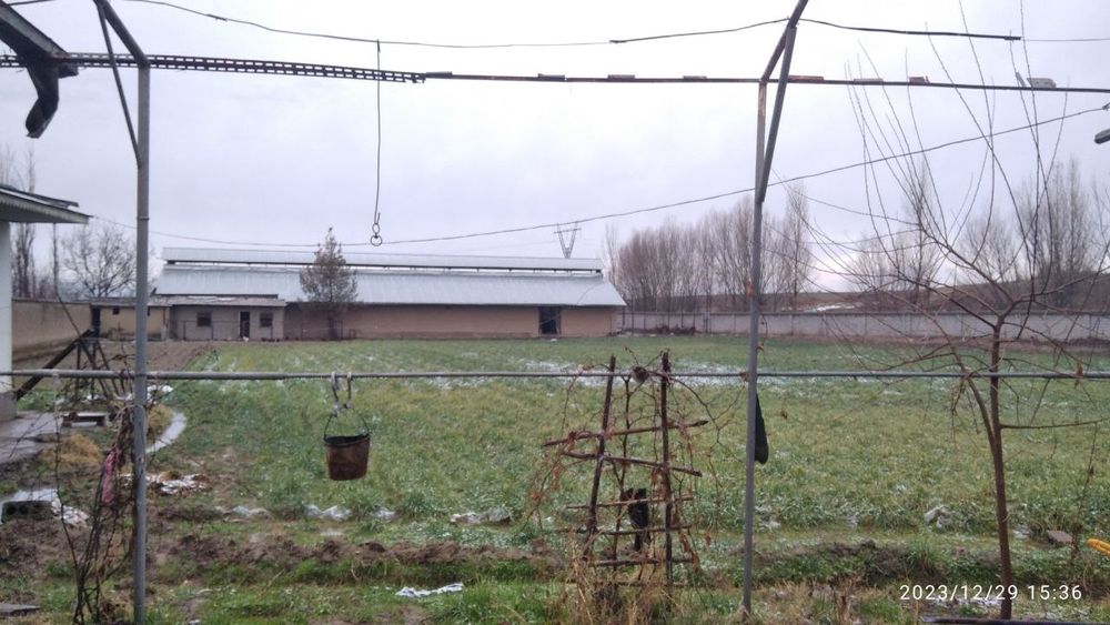 Uy Hovli sotiladi Toshkent oblast Yuqori Chirchiq