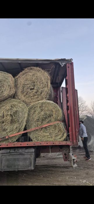 Baloti fan drept.min.500.sau Lucerna.Rotunzi min.40.Tramsport inclus>R