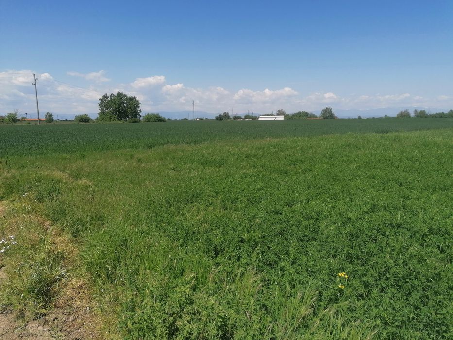 Парцели с.Войсил (Пловдив)