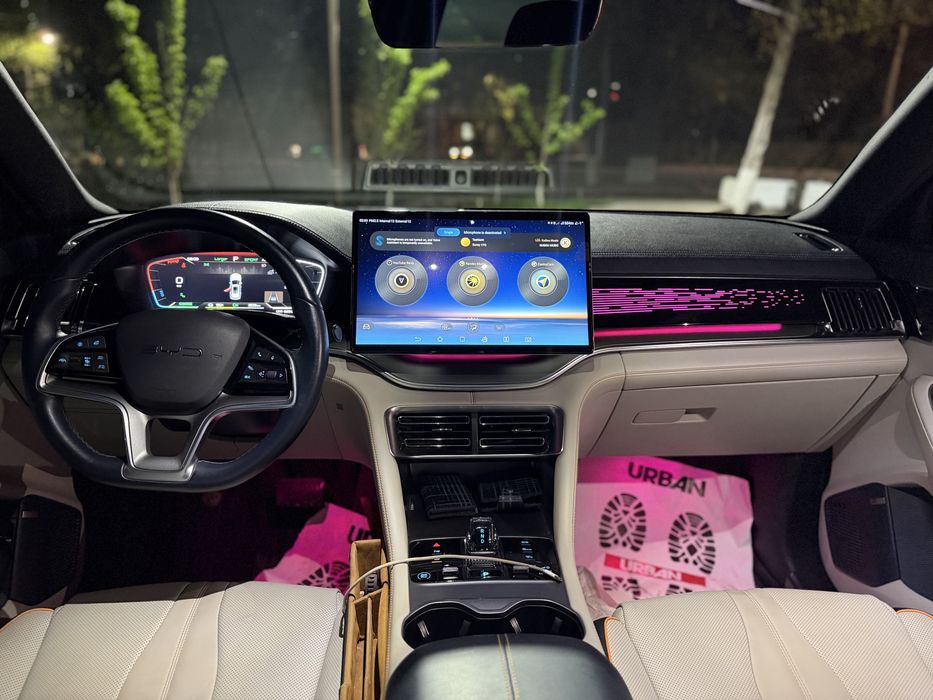 BYD Chempion 2024 Full