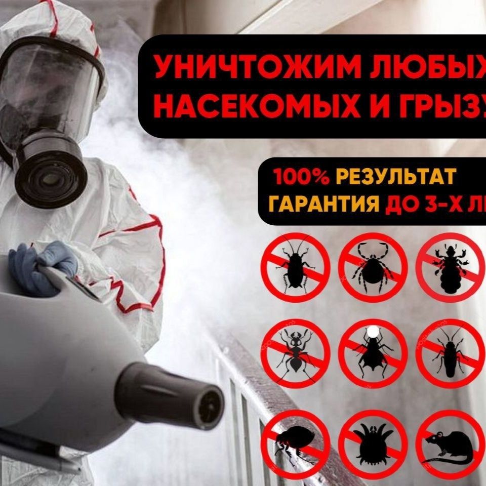 Супер цена 100% Дезинфекция Дезинсекция dezinfeksiya dizinfeksiya ...