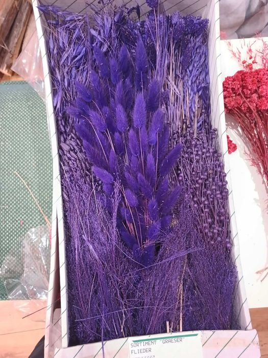 Изсушени  естествени класове за декорация