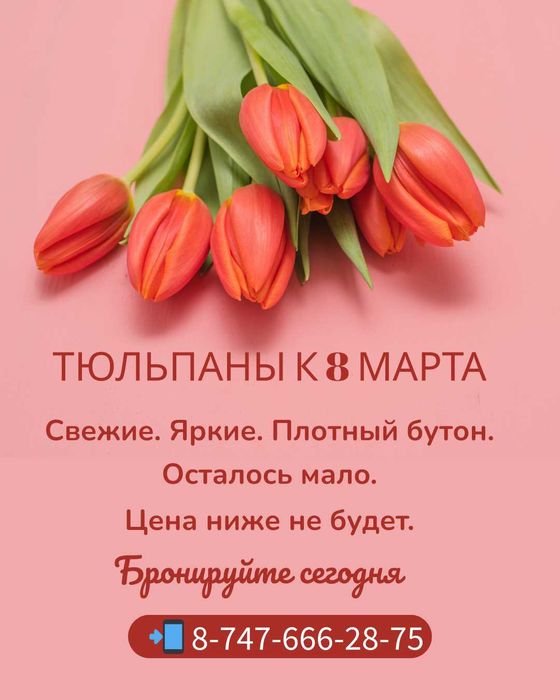 Тюльпаны в Алматы, свежи срезанные .