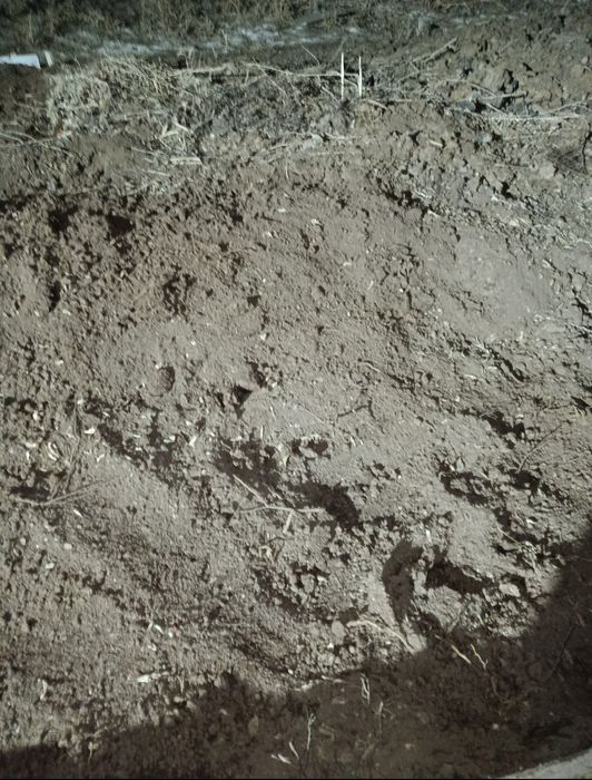 Биогумус и червяк