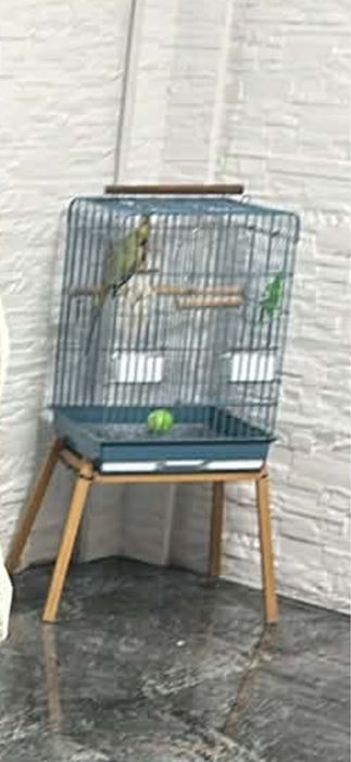 Cusca papagali cu suport