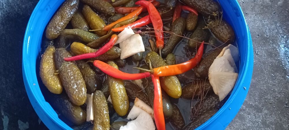 Vănd murături gustoase