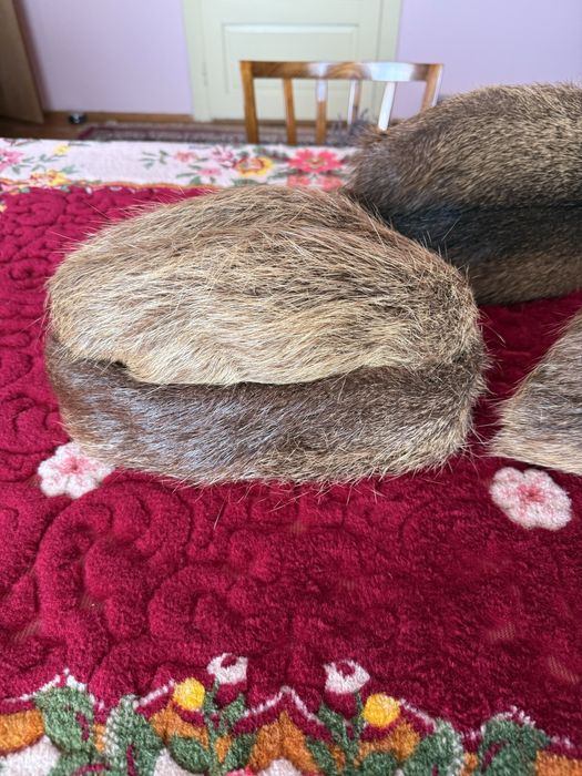 Caciula blana nutrie dama barbati