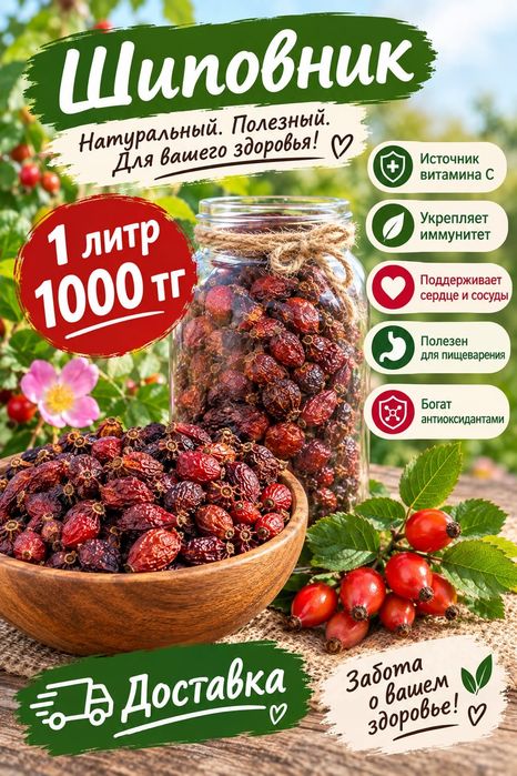 Полезный шиповник этого года