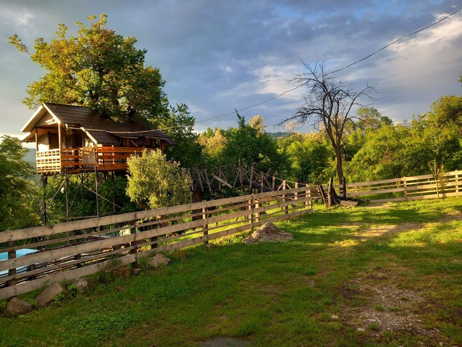 Cabana/pensiune de vanzare cu casuta in copac, Casa A-frame, piscina, ciubar. Judet Dimbovita, 110 km distanta București. Preț 55.000 EUR negociabil.