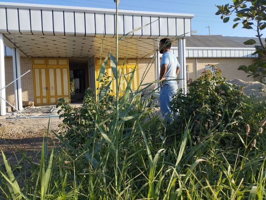 Tunukafon va nova  xizmati