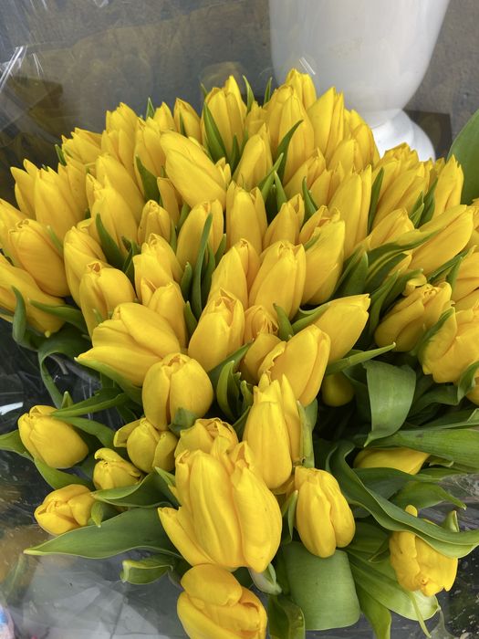 Цветы, тюльпаны,распродажа,