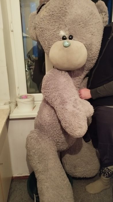 Тедди мишка империя цвет