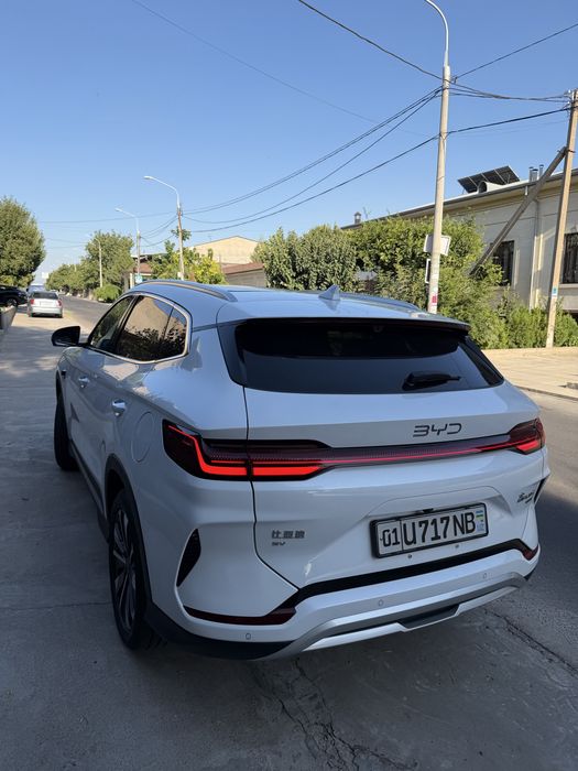 BYD chempion smart 2026