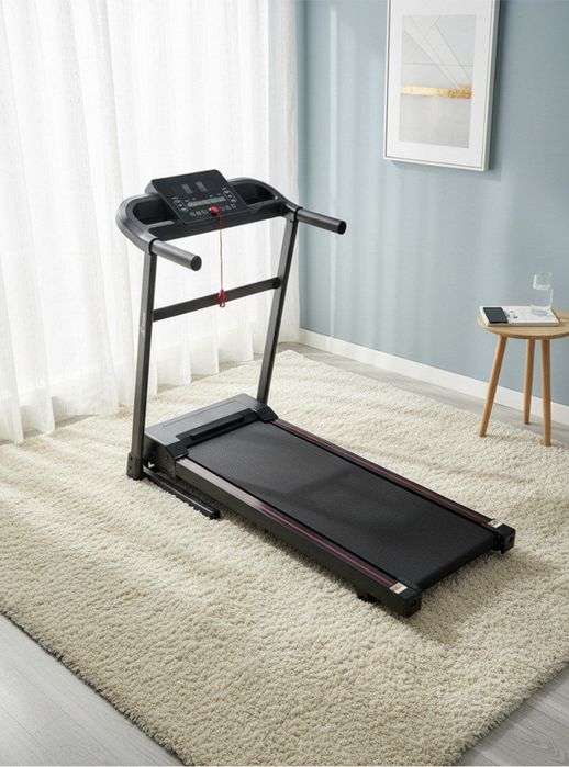 Homix begavoy (yugurish yoʻlakcha)