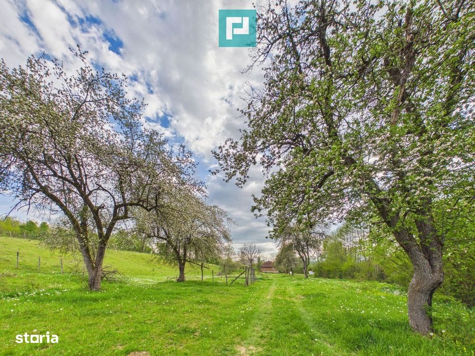 Casă cu teren de 17.681 mp, în loc. Hălmăgel, Arad