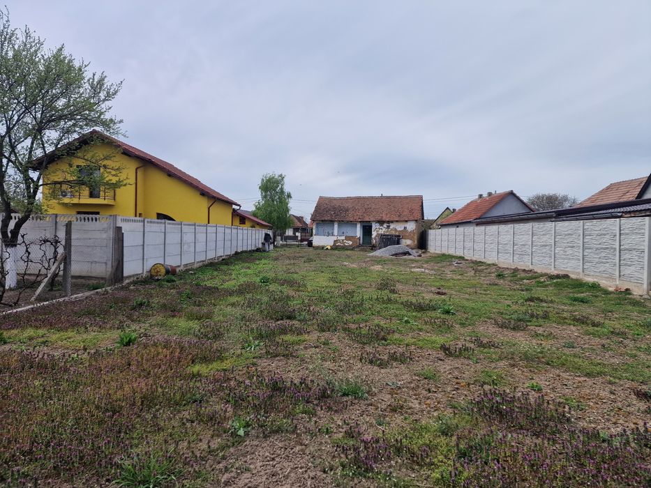Teren intravilan
