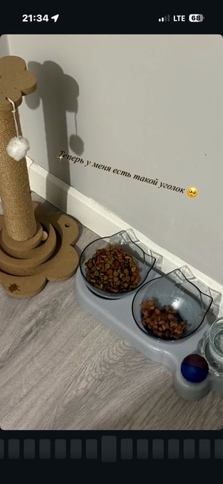 Горшок ,миски и игрушки для кошки