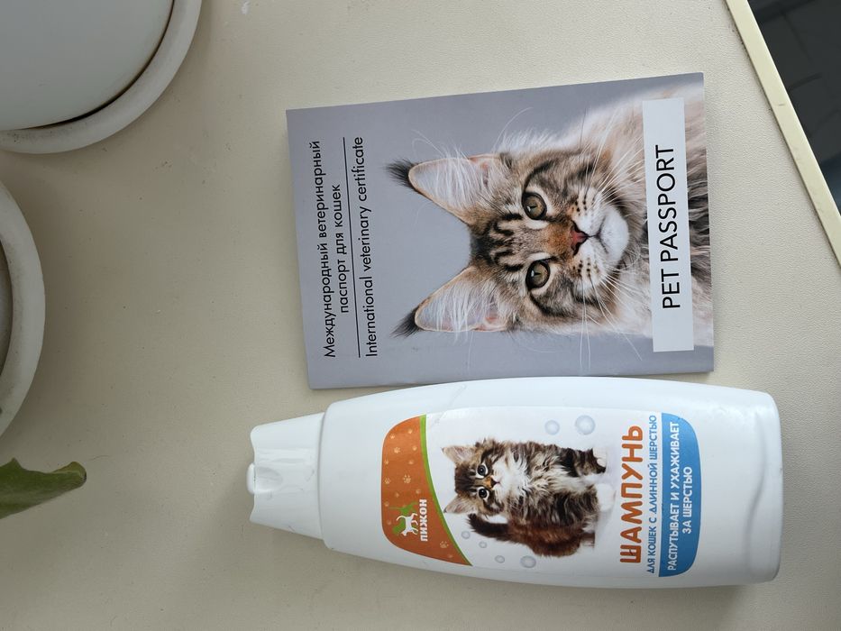 Продам для кота шампунь, паспорт новый